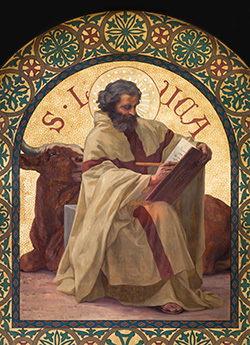 stluke 250